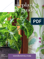 SR AUTUMN Houseplants Guide 2021