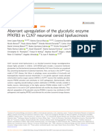 Aberrant Upregulation of The Glycolytic Enzyme PFKFB3 in CLN7 Neuronal Ceroid Lipofuscinosis