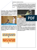 Ficha Tecnica Informativa Magnitudes y Unidades Eléctricas 1