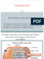 Biofisica Muscular