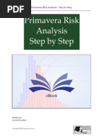 Downloading Primavera Risk Analysis Guide | PDF | Computers