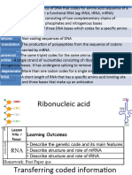 3 Ribonucleic Acid