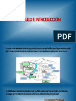 Intro Cap1.1 PDF
