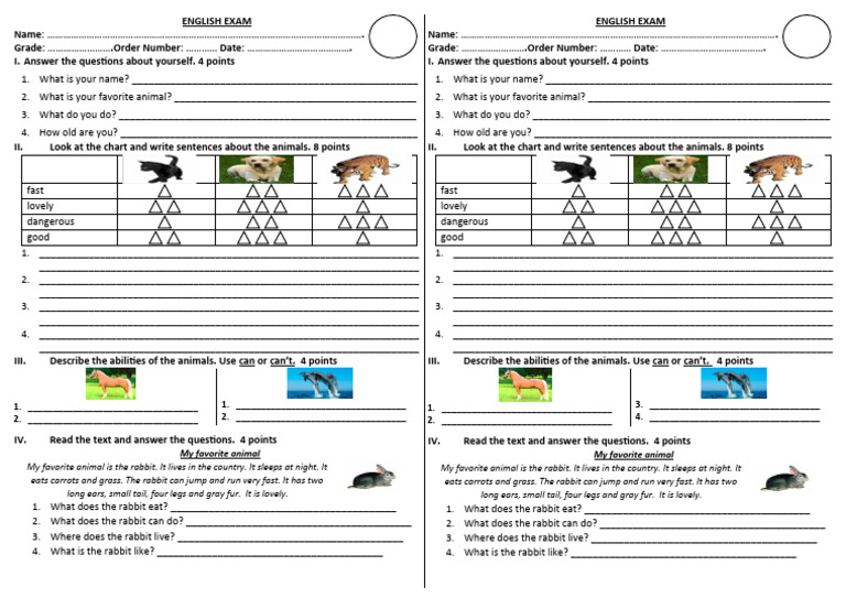 Last Exam 2ND 3RD | PDF | Rabbit | Lagomorphs