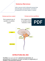 Sistema Nervioso Central