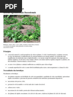 Horta Agroflorestal Sucessional