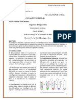 Reporte de Práctica 7 Biología Celular.