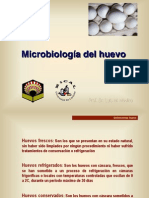 Microbiologia Huevo