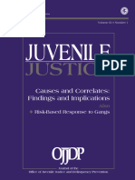 Juvenile Justice Causes and Correlates - Findings and Implications