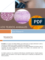 T-8 Tejidos Animales