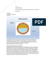 Embriologia Eras 1 y 2