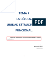 Tema 7 La Celula La Unidad Estructural y Funcional