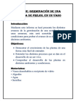 PDF Informe de La Germinacion de Una Semilla - Compress