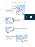 Exercícios Terapêuticos para o Tornozelo