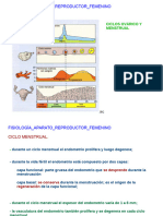 FISIOLOGÍA