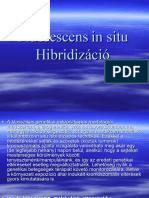 Fluorescens in Situ Hibridizáció