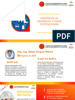 Brochure Curso Gestion de La Seguridad y Salud Ocupacional