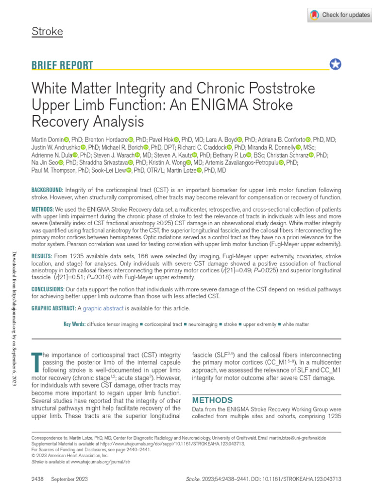Stroke Aha | PDF | Parietal Lobe | Cerebral Cortex