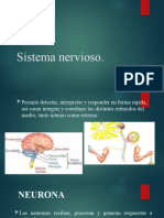 Sistema Nervioso.