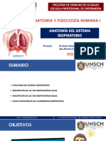 5 Anatomía Respiratoria