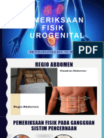 Pemeriksaan Fisik Urogenital