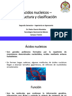 05-Ácidos Nucleicos - Estructura y Clasificación