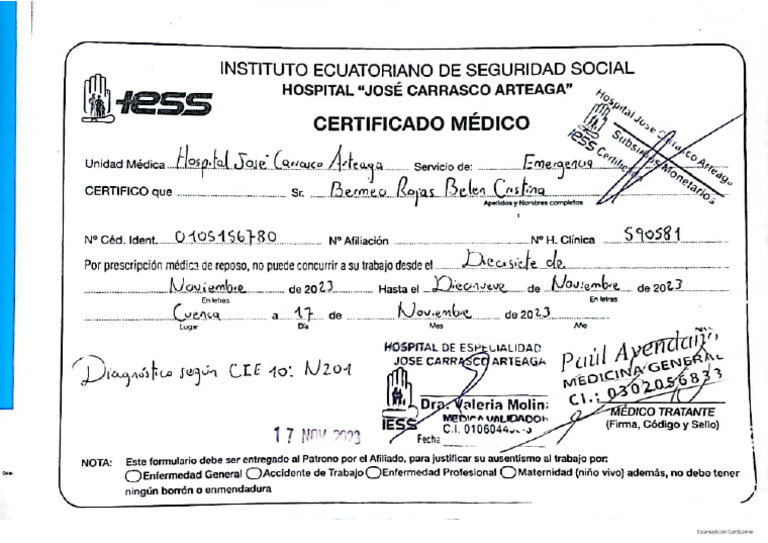 Certificado Iess 17 Al 19 de Nov N201 | PDF