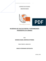 Incidencia de Calculo Dental y Enfermedades Periodental en Caninos (Kariana)