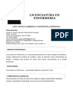 Copia de cv-DianaGabrielaVzlaPereyda