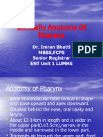 Anatomy of Pharynx