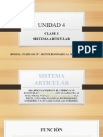 Unidad 4 - Clase 3 - Sistema Articular