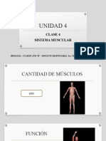 Unidad 4 - Clase 4 - Sistema Muscular