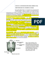 Anatomía e Histología de La Diferenciación Sexual Embrio