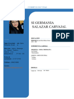 Curriculum Vitae Deysi