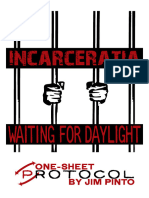 Protocol One-Sheet - Incarceratia