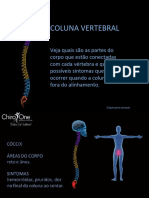Colunavertebral 130117115555 Phpapp01