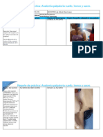 CPI-P2 - Reporte de Práctica Anatomía Palpatoria 1
