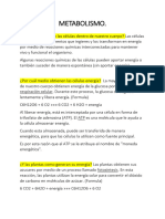 Metabolismo. Rangel Vazquez Vicente. 3 A TPR.