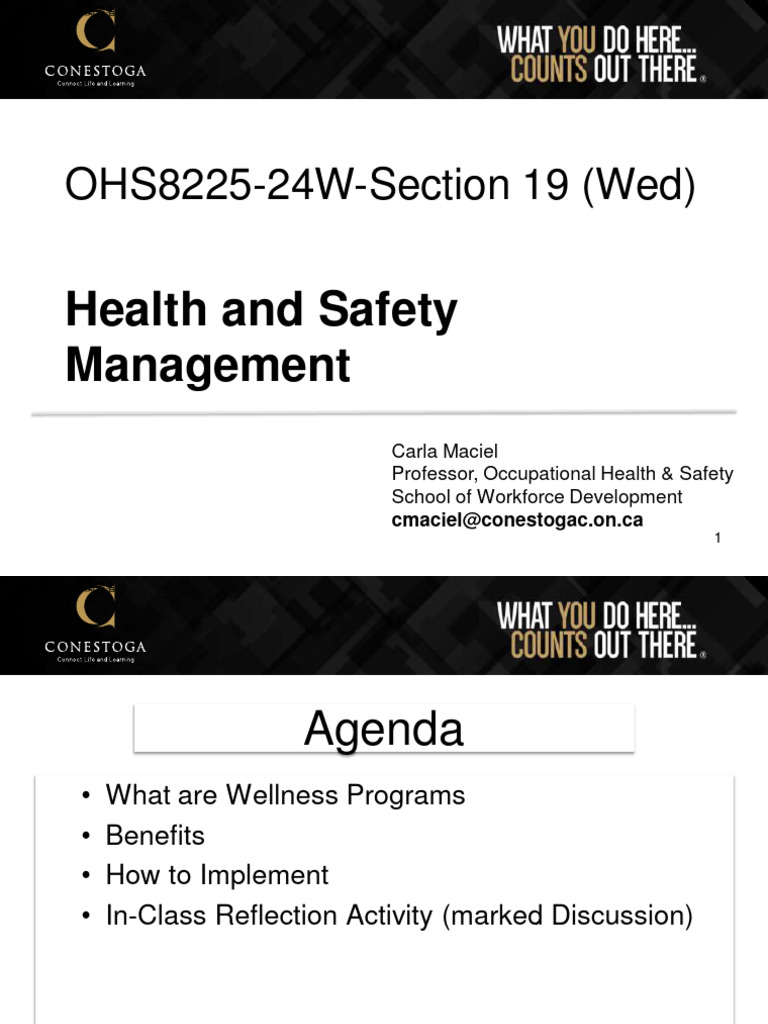 Implementing Effective Workplace Wellness Programs | PDF | Career ...