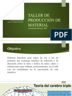 Taller de Producción de Material Guarayos