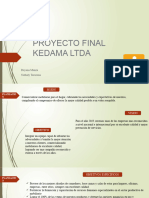 Proyecto Final Kedama Ltda