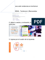 Como Subir Evidencias en Territoium