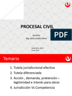 Procesal - Tutela Diferenciada SC PDF
