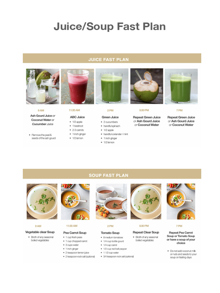Juice Soup Fast Plan PDF