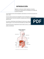 Informe Intestinal