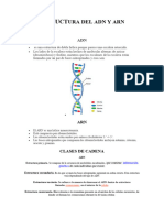 Estructura Del Adn y Arn