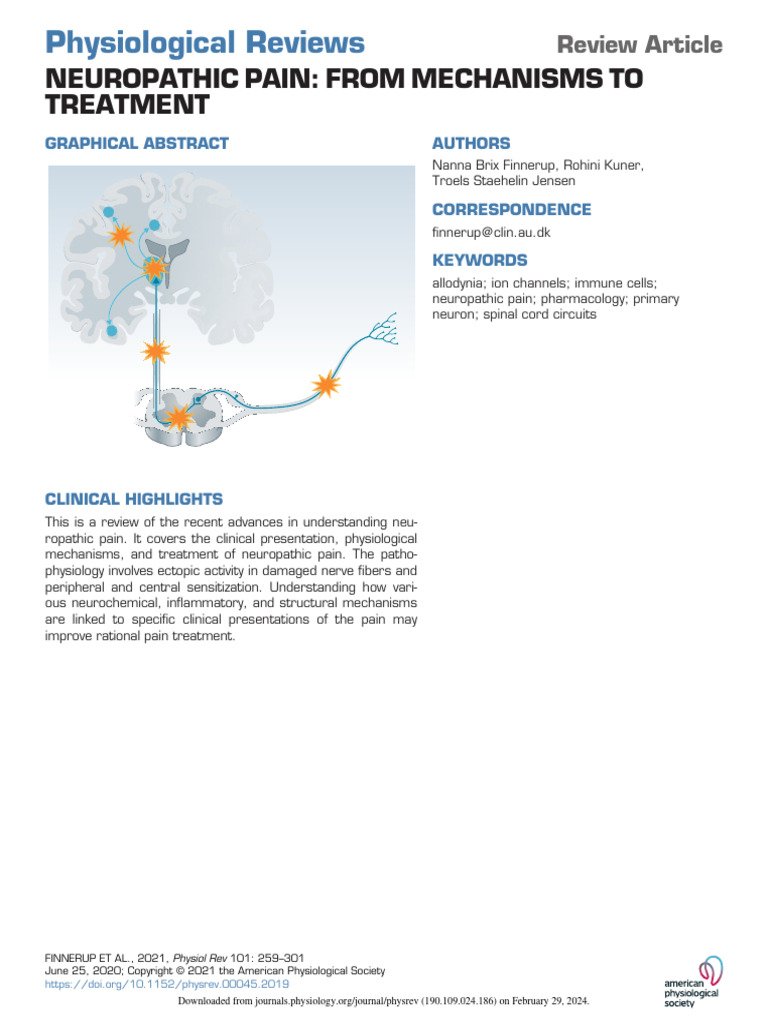 Finnerup Et Al 2020 Neuropathic Pain From Mechanisms To Treatment | PDF ...