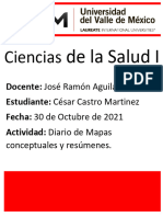 Diario de Mapas y Resumenes-César Castro