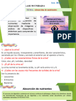 Clase 10 Absorsion de Nutrientes