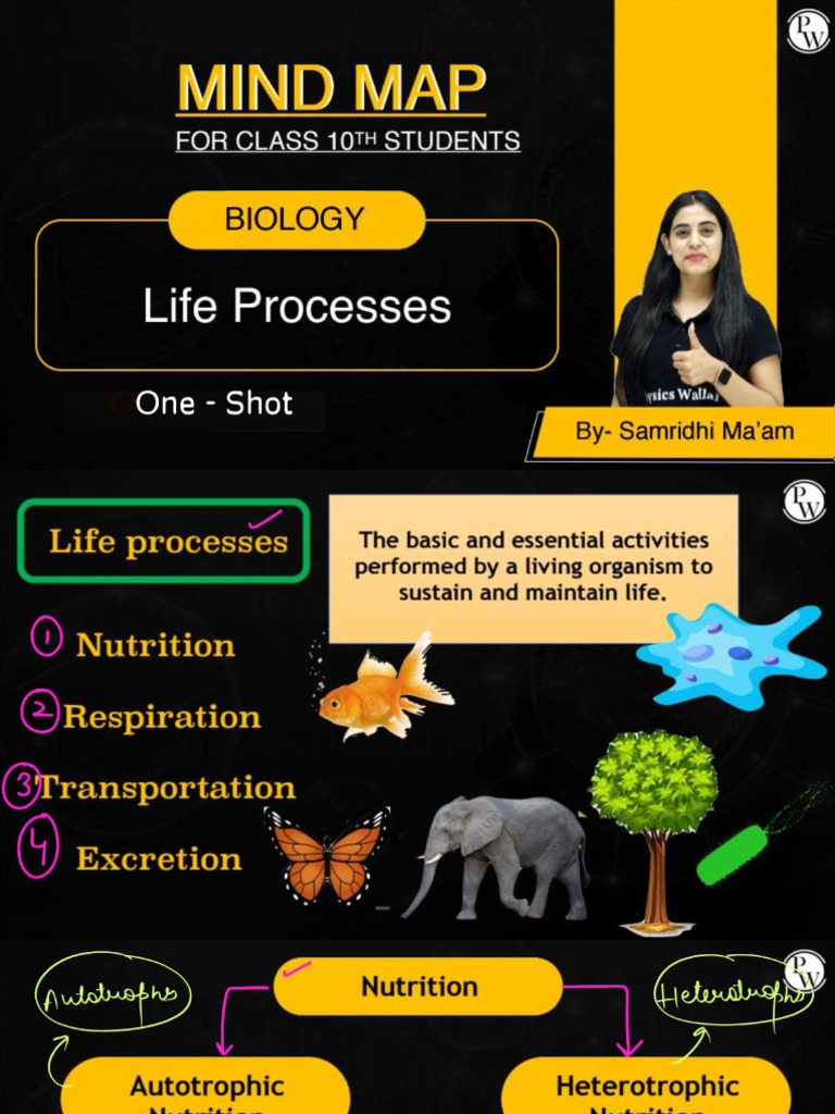 Life Processes - Class Notes - Mind Map - Class 10th | PDF